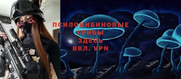 амф Алзамай