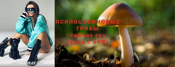 apvp Абинск
